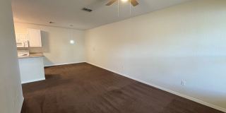 1003 Gallery 5