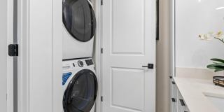 Tortoise One Gallery 21