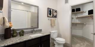 Eightyone10 Blue Goose Gallery 26