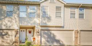 This is a must see Gallery 1