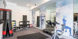 Sur512 Gallery 20