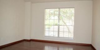 South Austin Living with Room to Spread Out Gallery 9