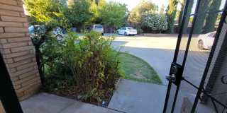 2776 Kerria Way Gallery 4