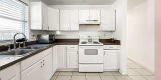 Beautiful 3BR | 1BA Unfurnished Home for Rent – Move-In Ready! Gallery 7