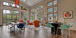 Echo Lake Gallery 27