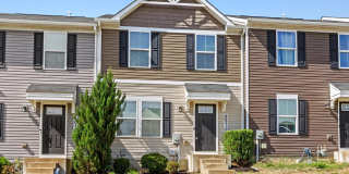 46310 CREEPING PRIMROSE Lane Gallery 1