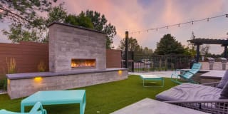 Elm at Panorama Gallery 14