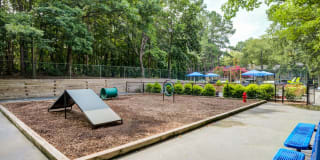 Laurel Oaks Gallery 23