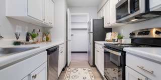 Steeplechase Gallery 30