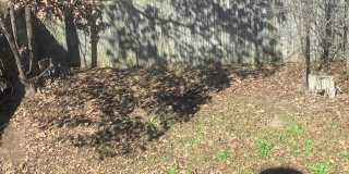 417 Patrick Henry Court - 1 Gallery 21