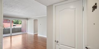 Bay Tree Gallery 37