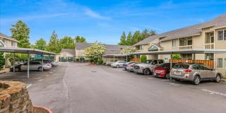 Cedar Grove Gallery 25