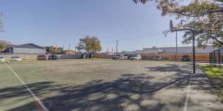 Ashford Remington Gallery 38