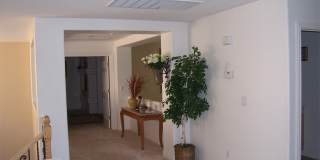 3316 Lacebark Pine Street Gallery 11