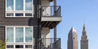 The Collins The Collins Gallery 26