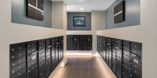 Alta 87 Gallery 29