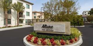 Altura at the Groves Gallery 6