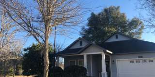 Beautiful Longleaf corner lot home!  Look!! Gallery 1