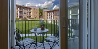 Phoenix View Gallery 13