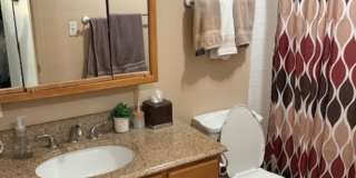 1339 N Dearborn Street unit: 5G Gallery 6