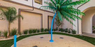 Vineyards Gallery 15