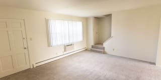 Lake of the Woods Gallery 28