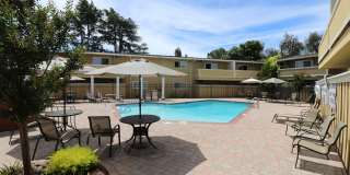 Mountain View Apartments Gallery 9