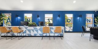 Anson at North Hills Gallery 30