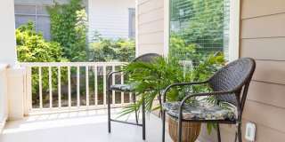 Spacious 4/3.5 w/ Master on Main and Fully Fenced Backyard! Gallery 6