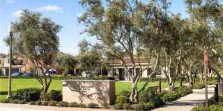 216 Oceano Gallery 50