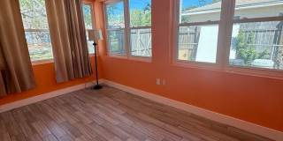 3 BR/1BA | Newly Renovated Single Family Home | Gated backyard | In South Tampa! Gallery 3