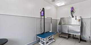 Milestone Gallery 20