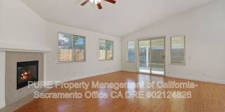 1732 Bamboo Street Gallery 3