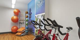 303 Flats Gallery 21