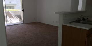 3095 Casey Drive 102 - 1 Gallery 1