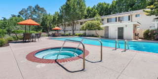 Los Gatos Creek Gallery 9