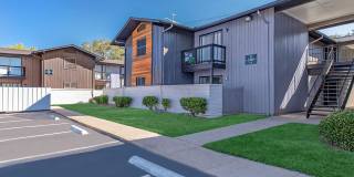 Tree Top Apartments Gallery 10