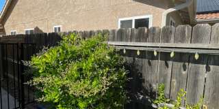 Luxury 3 Bed / 2 Bath Home with Pool and Solar Panels – Available 4/1/2026 Gallery 1