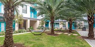 Agave Gallery 40