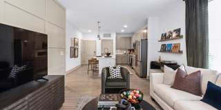 Muse Carmel Gallery 4