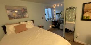 1609 Sydenham Gallery 94