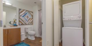 Linden Apartments Gallery 5
