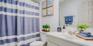 The Carlyle Gallery 15