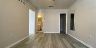 The Elizabeth Gallery 1