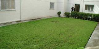 1786S Gallery 25