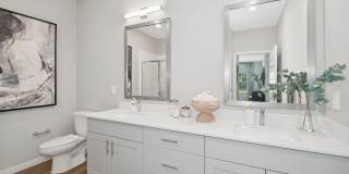 Ascend Nona West Gallery 6