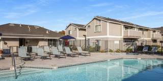 The Sycamores Apartments Gallery 14