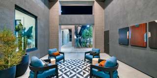 Adler Gallery 16