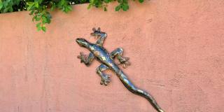 43622 Warner Trail Gallery 48