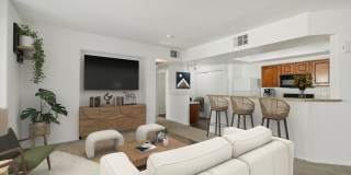 Venicia Gallery 77